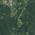 Person reported sick near Leonard Road, Deweyville TX