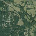 Man with vomiting and abnormal breathing in Plantersville