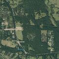 Car crashes into tree on Collier Cemetery Road