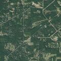 Person sick at Woodpeckers Grove, Cleveland, TX