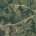 Loose cattle in roadway near McDade residence