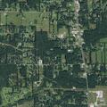 Person reported sick near Mormon Church Road in Silsbee