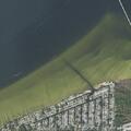 Person reported sick near Lahaina Court and Duke Drive