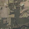 75-year-old male with general illness in Magnolia Springs