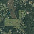 Person fell near Old Spurger Hwy in Silsbee, TX