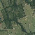 Young man assaults women at rural residence