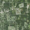 Unconscious person reported at Cemetery Road address