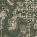 77-year-old male has severe allergic reaction in Fountain