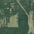 Loose livestock reported on FM 2666