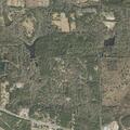 Adult found unconscious and not breathing near Forest Road
