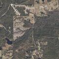 Elderly female confused and dizzy near Bell Creek road