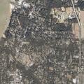 Male falls and has seizure after bee sting in Fairhope
