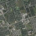 Person with psychiatric issues at Briar Cove