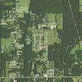 Possible stroke reported near Palm Drive
