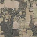 Woman has severe asthma attack at home in Robertsdale