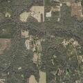 Tree on power line sparks grass fire