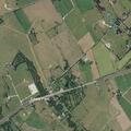 Cow loose on Highway 21 near Cooks Point