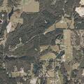 Female injured on Mike Lumpkin Road reported