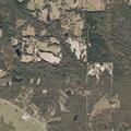 Elderly woman falls at highway 53 near Dogwood Lane