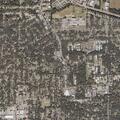 Person having a stroke near Vindell Drive and Cottage Hill Road