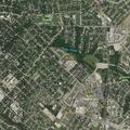 79-year-old woman fell, suspects broken ankle