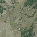 79-year-old female with breathing difficulty and cyanosis
