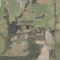 Person reports severe back pain in Wilmer, Alabama