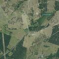 Grass fire spreading near tree line in Iola