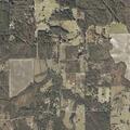 55-year-old male with allergic reaction in Lucedale
