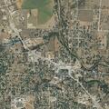 Young girl bitten by skunk near Mason County EMS Station