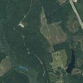 Elderly woman with possible stroke in Kirbyville
