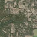 Juvenile male with possible stroke near Pilgrim Trail