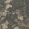 81-year-old woman with weakness in Bay Minette