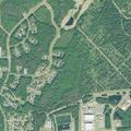 Woman bitten by dog at home in Kings Bay Base