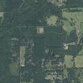 Criminal mischief reported on Nonsuch Road