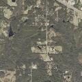 Welfare check for male with dementia at Geiger Road