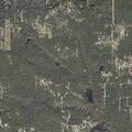 Public assistance call on Hamm Circle