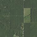 Person fell near Victor Ramus Rd and Kepler, Glenmora, LA