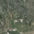 Grass fire reported on County Road 206