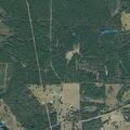 False medical alarm near FM 230 in Trinity, TX