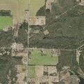 Power Lines Down and Sparking on Killam Road Near Gilmore; Tree Smoking, Utility Alerted