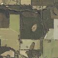Person down near County Road 4 in Black, AL
