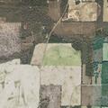 Request for rescue near Grimsley Road