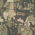 Diabetic woman dizzy and lethargic near faulk road in taylor