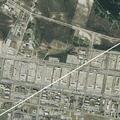 Deceased cat blocking roadway in Fort Hood
