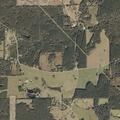 87-year-old man falls with minor bleeding in Tylertown