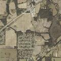 Possession offense reported on Petunia Drive