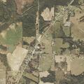 Elderly woman stuck in ladder stand at Alabama highway