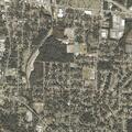 79-year-old man with heart issues and nausea in Cottonwood