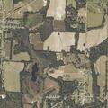 Police pursue car on Highway 22 near Headland